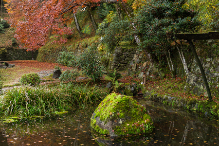Japanese garden in autumn
