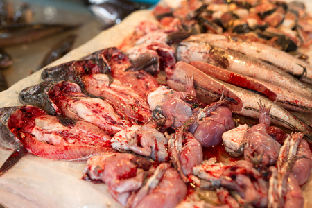 Uncooked fish and chinese edible frog in wet marketの写真素材