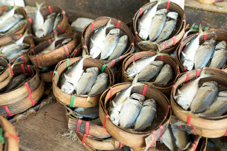 Mackerel fish in wet marketの写真素材