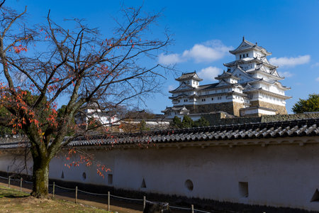 Traditional White Himeji castleのeditorial素材