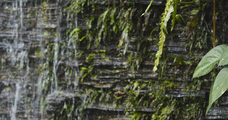 Waterfall on stone wall の写真素材