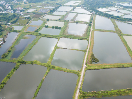Top view of Fish pond in Hong Kong の写真素材