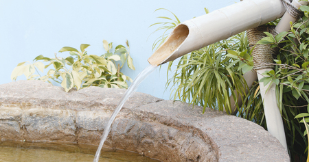 Water in garden 