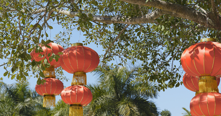 Chinese red lanterns hanging outdoors の写真素材