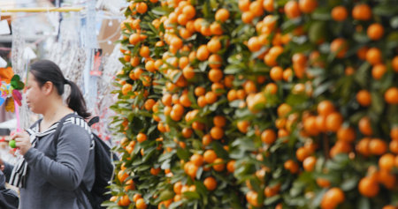 Victoria Park, Hong Kong 14 February 2018:- Hong Kong Lunar new year fair in Victoria park, traditional Chinese market のeditorial素材