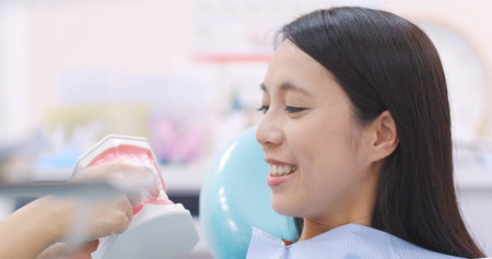 Dentist showing brushing tooth in clinic の写真素材