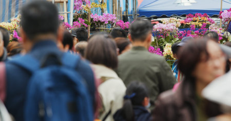 Victoria Park, Hong Kong 14 February 2018:- Hong Kong Lunar new year fair in Victoria park, traditional Chinese market のeditorial素材