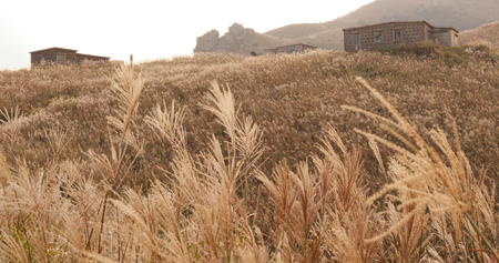 Hiking trail on mountain in autumn の写真素材