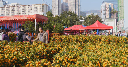 Tsuen Wan, Hong Kong, 13 February 2018:-Traditional chinese fair for lunar new yearのeditorial素材