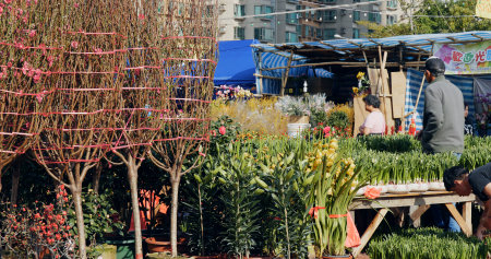 Yuen Long, Hong Kong 13 February 2018:- Lunar new year fair in Hong Kong のeditorial素材