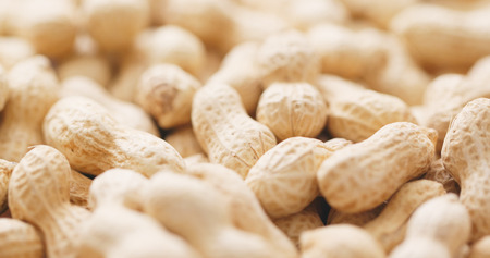 Stack of peanutの写真素材