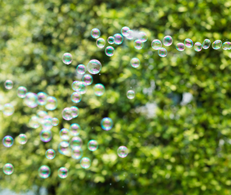 Soap bubbles over green parkの写真素材