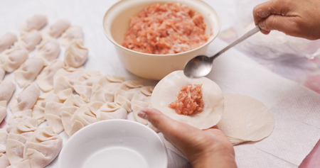 Homemade meat dumpling の写真素材