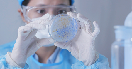 Scientist observation about petri dish