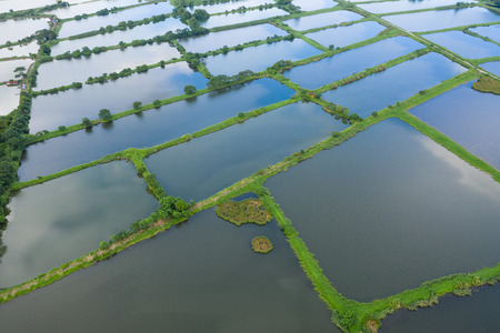Aerial view Fish hatchery pond