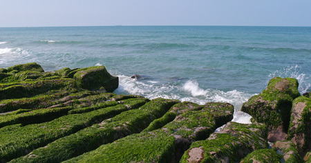 Beautiful Green Reef and sea wave