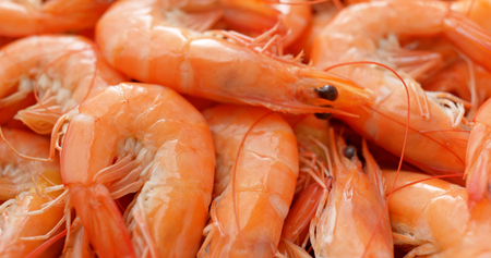 Stack of fresh cooked shrimpの写真素材