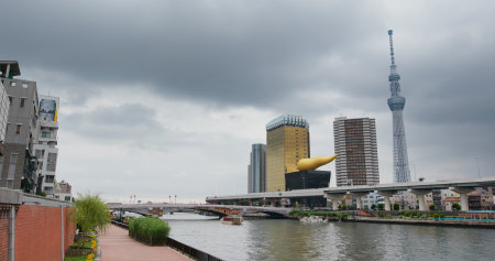 Tokyo, Japan, 25 June 2019: Tokyo skytree tower in cityのeditorial素材