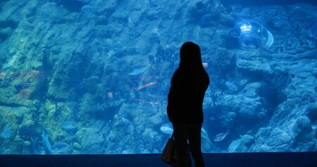 Woman in the aquarium, and look at the fish inside