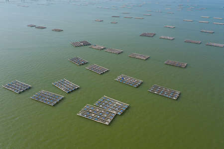 Top view of oyster farmの写真素材
