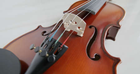 Violin string and bridge close upの写真素材