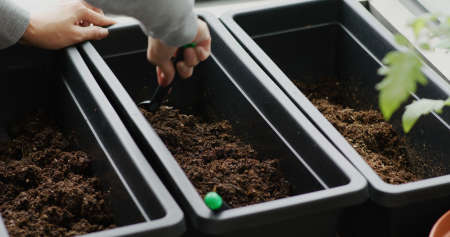 Prepare soil for planting at home garden