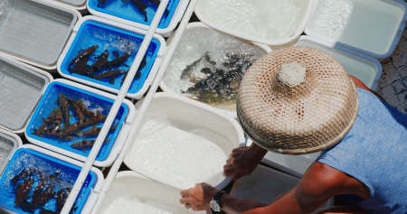 Sai Kung, Hong Kong 15 August 2020: Sell seafood on fisherman boatの写真素材