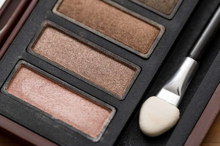 Eye shadow palette in brownの写真素材