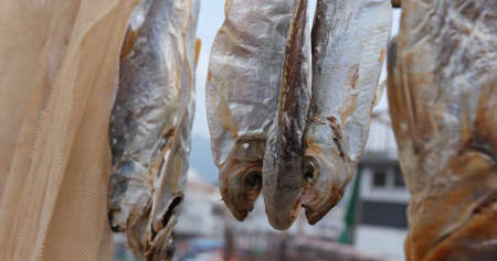 Salty fish hanging under sunlight