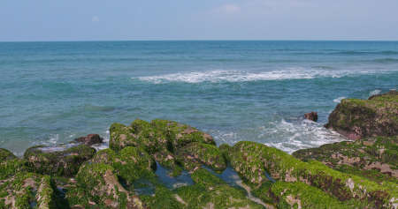 Green Reef in Laomei