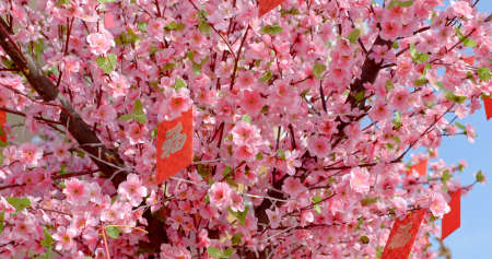 Peach blossom with red packet words means luck
