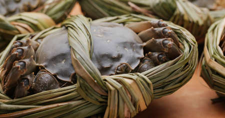Fresh raw Chinese mitten crab