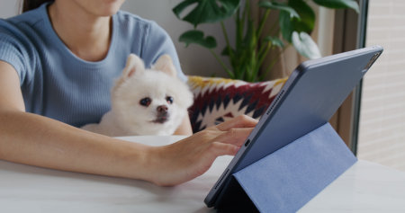 Woman work on tablet computer with her dogの写真素材