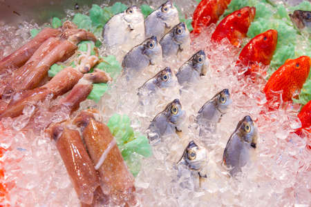 Seafood selling in wet marketの写真素材