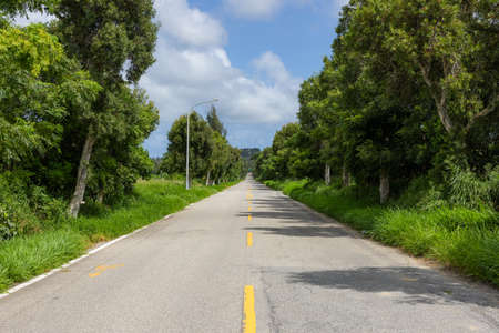 Asphalt road with trees on the sideの写真素材