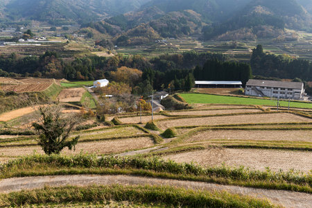 Beautiful countryside landscape in Japanの写真素材