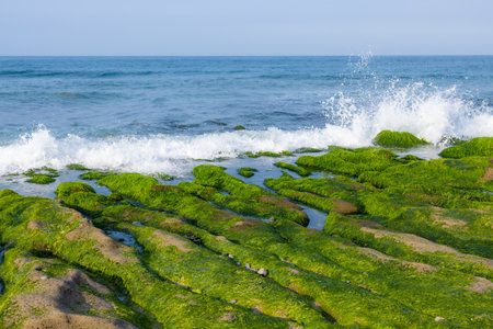 Laomei Green Reef in Taiwan
