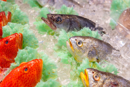 Fish selling in wet market