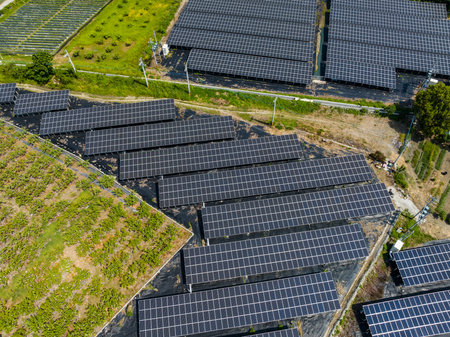 Top down view of solar panel in the meadow field