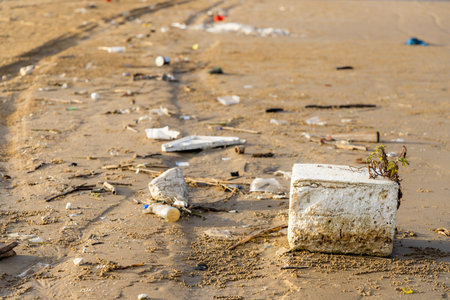 Trash on the sand beachの写真素材