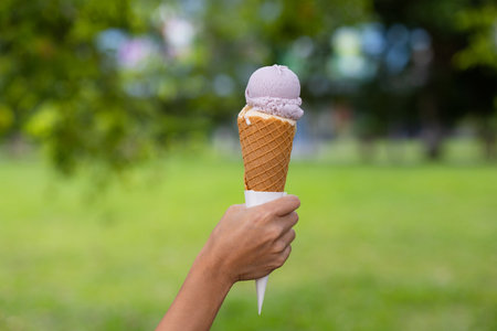 Hold with ice cream in green park