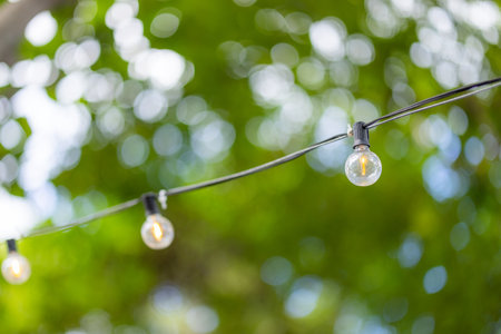 Transparent electric bulb chain in the garden