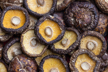 Dried Shiitake mushrooms food ingredientの写真素材