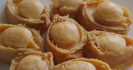 Chinese style abalone, canned instant seafoodの写真素材