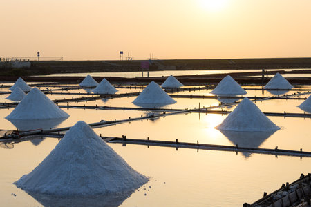 Salt in sea salt farm in the eveningの写真素材