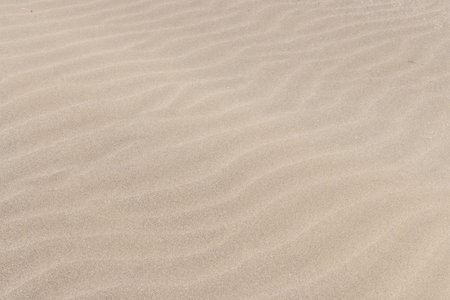 Sandy beach pattern texture background