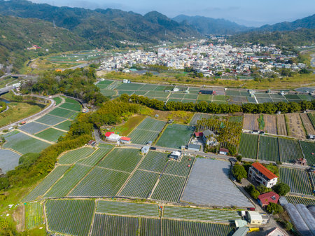 Top view of the strawberry field and village in Dahu in Miaoli of Taiwanの写真素材