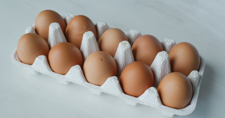 Pick an egg from packageの写真素材