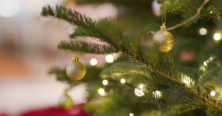 Christmas tree decoration at night