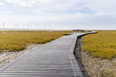 Gaomei Wetlands wetland in Taichung of Taiwan